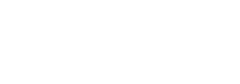 AVA-Logo_WHITE